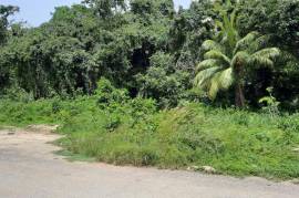 Development Land (Residential) for Sale in Montego Bay