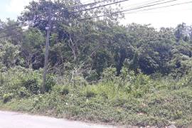 Development Land (Residential) for Sale in Adelphi