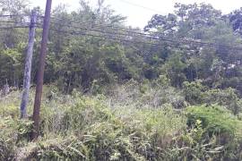 Development Land (Residential) for Sale in Adelphi