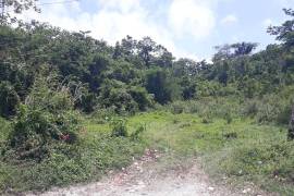 Development Land (Residential) for Sale in Adelphi