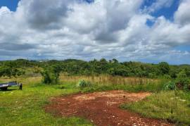 Development Land (Residential) for Sale in Newport