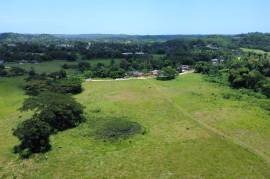 Development Land (Residential) for Sale in Clarks Town