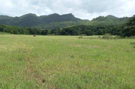 Development Land (Residential) for Sale in Clarks Town