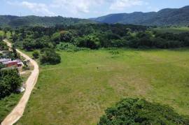 Development Land (Residential) for Sale in Clarks Town