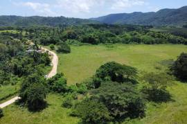 Development Land (Residential) for Sale in Clarks Town