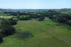 Development Land (Residential) for Sale in Clarks Town