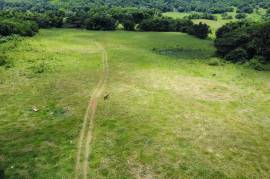 Development Land (Residential) for Sale in Clarks Town