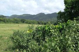 Development Land (Residential) for Sale in Clarks Town