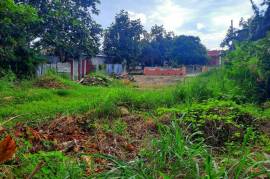 Development Land (Residential) for Sale in Falmouth