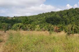 Development Land (Residential) for Sale in Runaway Bay