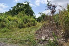 Development Land (Residential) for Sale in Runaway Bay