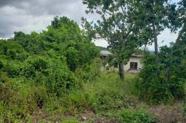 Development Land (Residential) for Sale in Browns Town