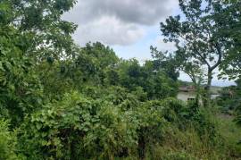 Development Land (Residential) for Sale in Browns Town