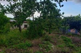 Development Land (Residential) for Sale in Browns Town