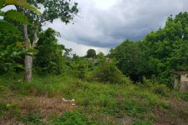 Development Land (Residential) for Sale in Browns Town