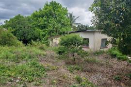 Development Land (Residential) for Sale in Browns Town