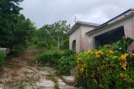 Development Land (Residential) for Sale in Browns Town