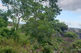 Development Land (Residential) for Sale in Browns Town