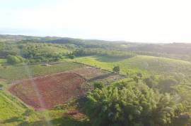 Development Land (Residential) for Sale in Malvern