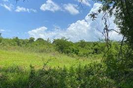 Development Land (Residential) for Sale in Black River