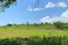 Development Land (Residential) for Sale in Black River