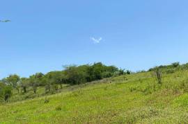 Development Land (Residential) for Sale in Black River