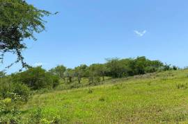 Development Land (Residential) for Sale in Black River