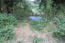 Development Land (Residential) for Sale in Borobridge