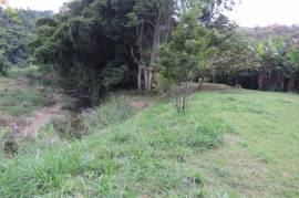 Development Land (Residential) for Sale in Borobridge