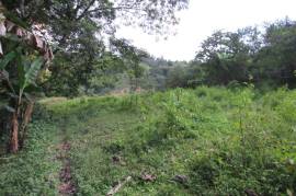 Development Land (Residential) for Sale in Borobridge