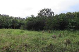 Development Land (Residential) for Sale in Borobridge