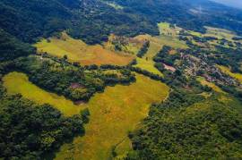 Development Land (Residential) for Sale in Clarks Town