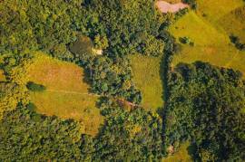 Development Land (Residential) for Sale in Clarks Town