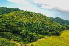 Development Land (Residential) for Sale in Clarks Town