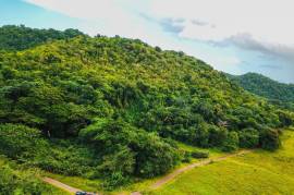 Development Land (Residential) for Sale in Clarks Town