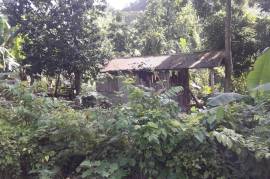 Development Land (Residential) for Sale in Moneague