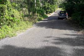 Development Land (Residential) for Sale in Moneague