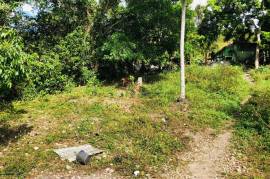 Development Land (Residential) for Sale in Anchovy