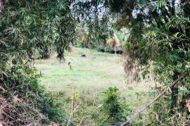 Development Land (Residential) for Sale in Anchovy