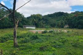 Development Land (Residential) for Sale in Anchovy