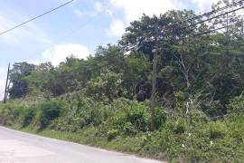 Development Land (Residential) for Sale in Adelphi