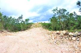 Development Land (Residential) for Sale in Red Hills