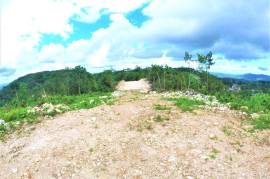 Development Land (Residential) for Sale in Red Hills