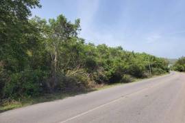 Development Land (Residential) for Sale in Falmouth