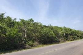 Development Land (Residential) for Sale in Falmouth