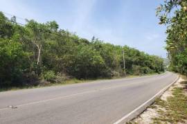 Development Land (Residential) for Sale in Falmouth