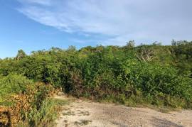 Development Land (Residential) for Sale in Discovery Bay