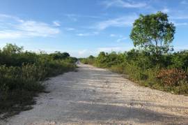 Development Land (Residential) for Sale in Discovery Bay