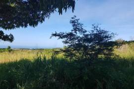 Development Land (Residential) for Sale in Southfield