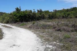 Development Land (Residential) for Sale in Discovery Bay